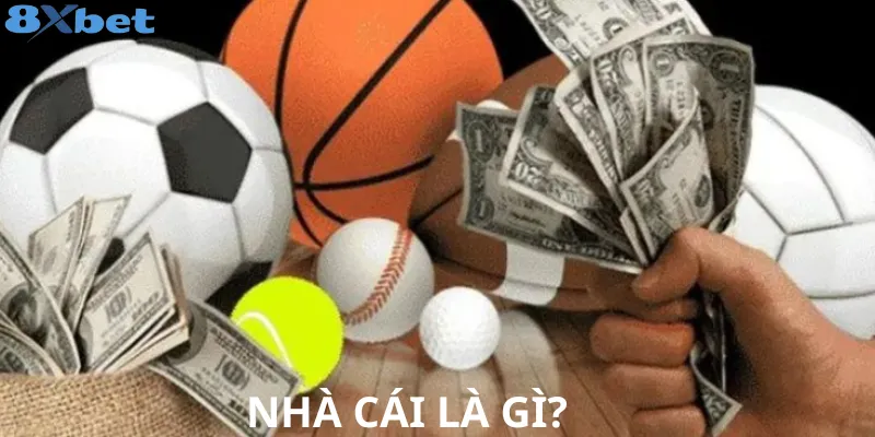 Nhà cái là gì? Phân loại, cách hoạt động cụ thể như nào? Thông tin cụ thể về nhà cái hiểu là gì?